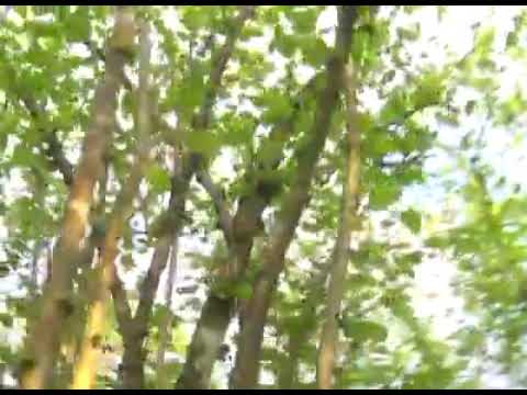 ჩვენ გამოვყოფთ საჭირო თანხებს და მას მიზნობრივად მოვახმართ ფაროსანასთან ბრძოლას.