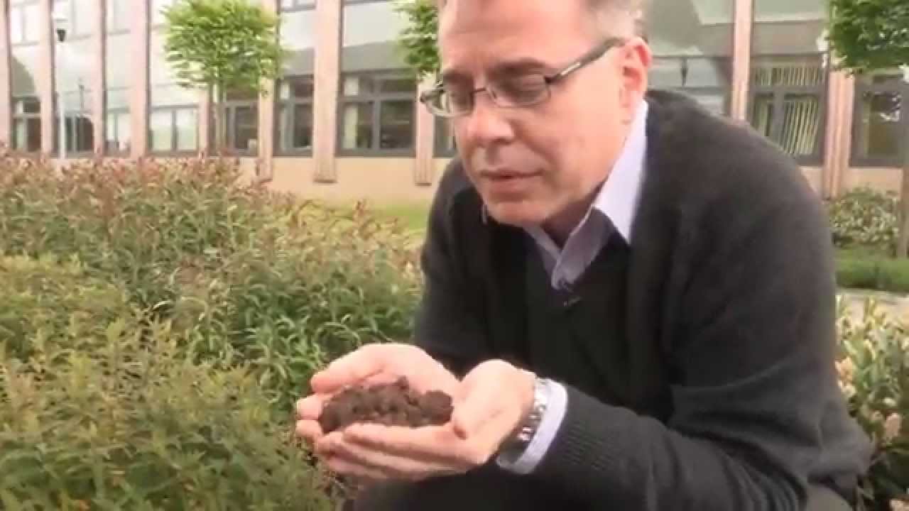 soil scientist