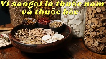Vì Sao Gọi Là Thuốc Nam Và Thuốc Bắc| NMT T1465