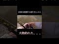 仕事の休憩中に、、、