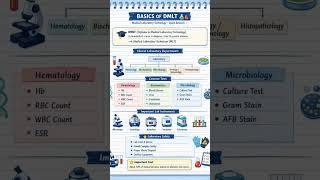 basics of DMLT #bmls #bmlt #dmlt #notes #ytshorts