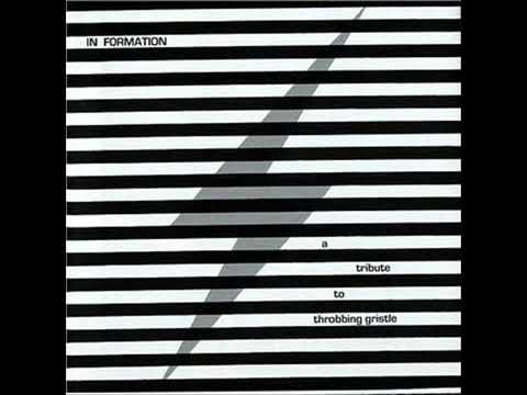 Melvins  - Track Five (A Tribute to Throbbing Gristle)
