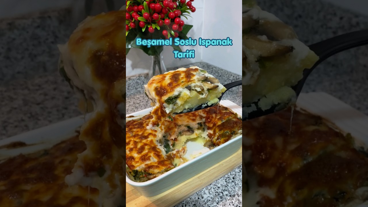 BU LEZZETE İNANAMAYACAKSINIZ✨ BEŞAMEL SOSLU ISPANAK🤤 #tarif #yemektarifleri #pratiktarifler #yemek BU LEZZETE İNANAMAYACAKSINIZ✨ BEŞAMEL SOSLU ISPANAK🤤 #tarif #yemektarifleri #pratiktarifler #yemek