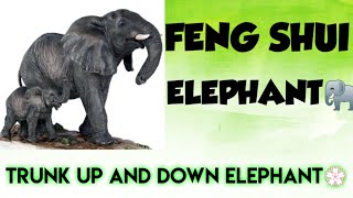 Feng Shui Elephant facing Direction benefits Of Keeping An Elephant Figurine In The House