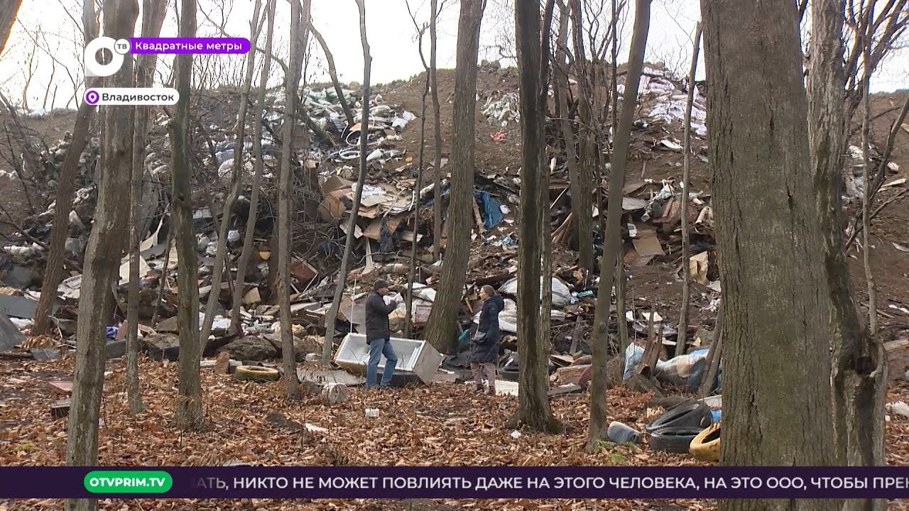 Зелёной полосы больше нет! / Квадратные метры - YouTube