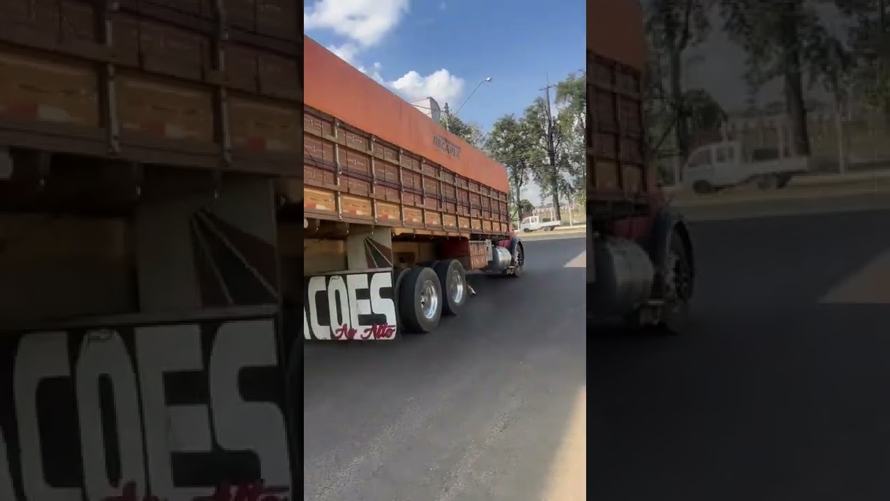 MB 1318 Muriçoka TOP