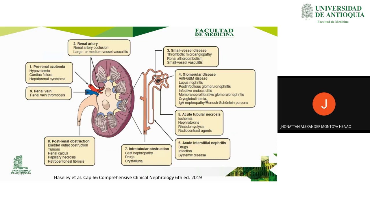 Lesión Renal Aguda - Dr. Jhonattan Montoya