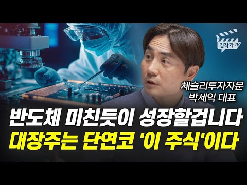 반도체 미친듯이 성장할 겁니다, 대장주는 단연코 &#39;이 주식&#39;이다 (박세익 대표)