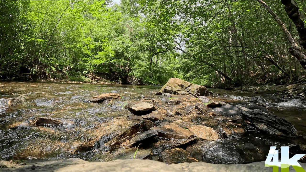 Sitting Peacefully On A Rock In The Middle of A Pennsylvania River (ASMR, No Added Sounds)