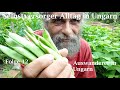 Selbstversorger Alltag in Ungarn #12 Auswanderer in Ungarn