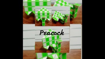 SNAKE CUBE: PEACOCK (72 wedges)