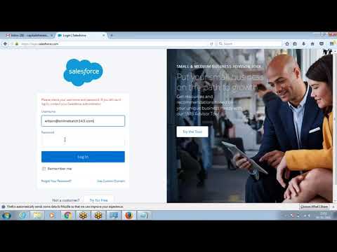 Salesforce User Login Issues