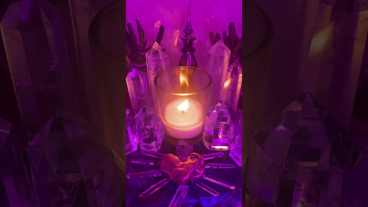 👿Они вели 🎭двойную жизнь, ревнивые в конкуренции и хитрые🐍змеи 🐍🔪