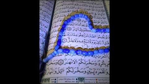 سورة التكاثر - الشيخ أبوبكر الشاطري