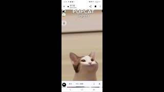 popcat screenshot 2