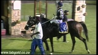 20150227 Greyville Race 8 won by FINDING NEVERLAND