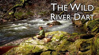 A hike along a wild section of the River Dart on Dartmoor