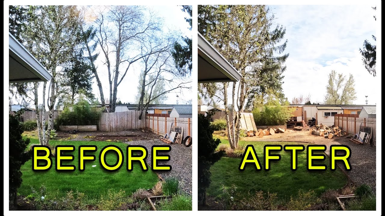 Tree Removal Time Lapse - YouTube