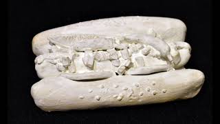 Pottery of Protest 7