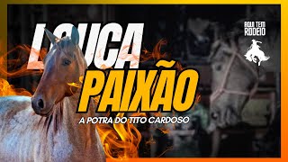 LOUCA PAIXÃO A POTRA INVENCÍVEL