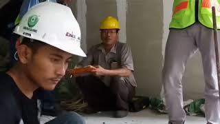 Dewalt Ptb Throughbolt