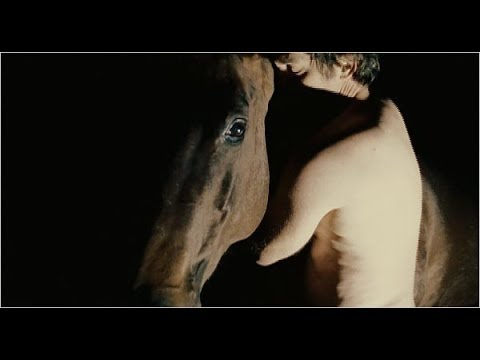 Man Has Sex With Horse Video