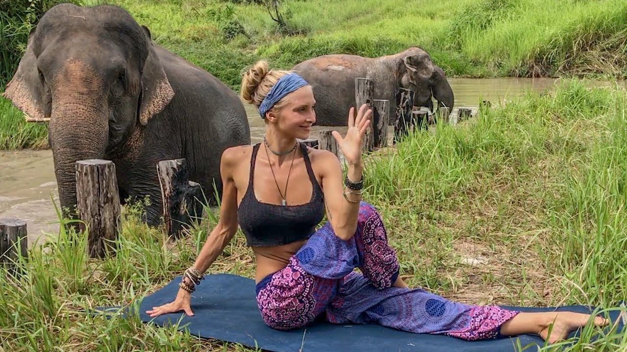 ⁣Vinyasa Power Flow Class ♥ 20 Minute Yoga | Cambodia Wildlife Sanctuary