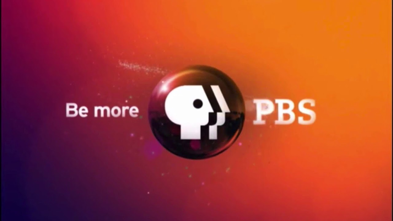 PBS 2009 YouTube pbs-2009-youtube