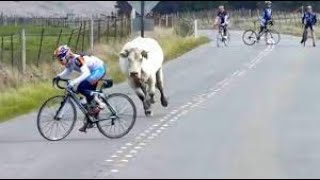 Funny Moments Of The Year Compilation ππ₯π· PART 5 Funny Moments Of The Year Compilation ππ₯π· PART 5