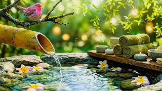 Relaxation Music: Bamboo Water Fountain + Healing Piano 🌿 Peaceful Sleep, Spa Music & Nature Sounds