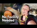 The Human-First Model for Service Dog Training