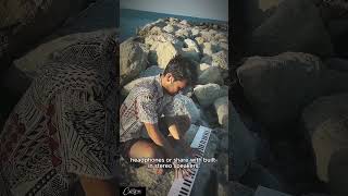 Carry-on Folding Piano 🎹| Play Anywhere 🫨🎼 #carryonplaying