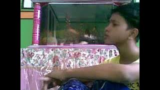 Adista - impian terindah