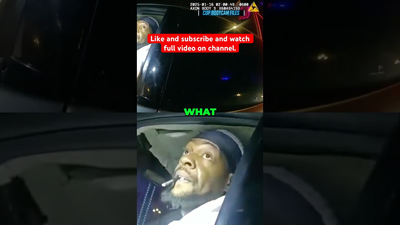 Traffic Stop Gone Wrong: What Happened?!