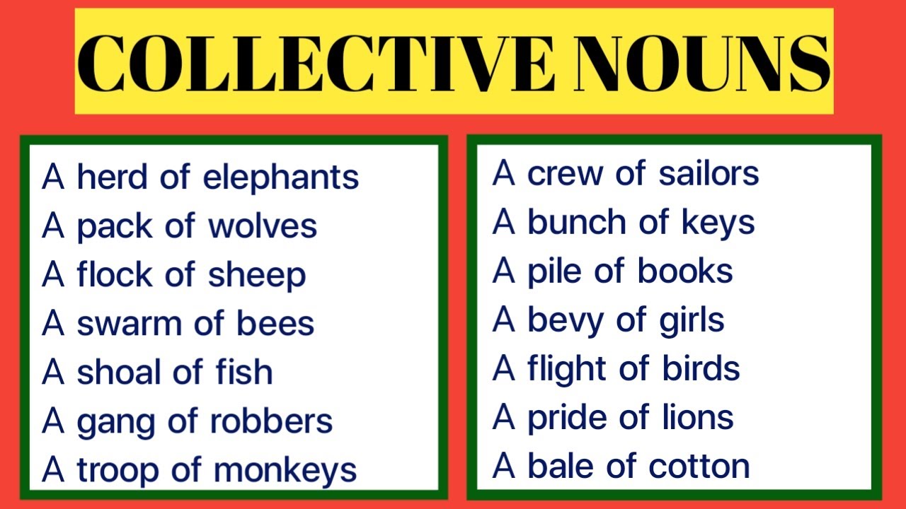 Collective Nouns in English Grammar & Vocabulary/ Collective Nouns Examples in English