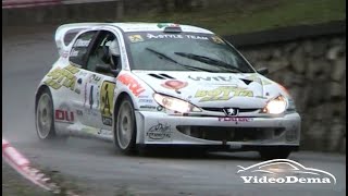 Peugeot 206 WRC | Tribute | VideoDema