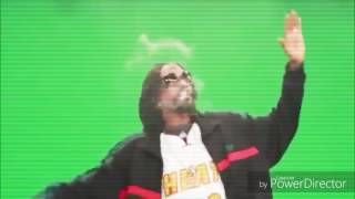 When Ur Dancing With Watermarked Green Screen Snoop Cat And He Steps On Ur German Timbs