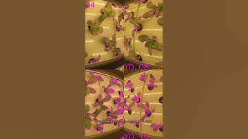 ESP32-CAM untuk Proyek Computer Vision #coding #computervision #python