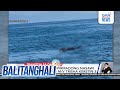 PCG - 44 ang kumpirmadong nasawi sa paglubog ng M/V Trisha Kerstin 3 | Balitanghali