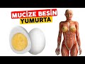 Günde 2 Yumurta Yedim ve Vücuduma İnanılmaz Şeyler Oldu...