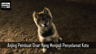 HEWAN PALING HEROIK SEPANJANG MASA | Alur Cerita Togo