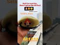 #reels#trending#motivation#ssc#naveensirrwa#viral#shorts#growth#support#like#share#status#story#upsi