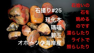 石撮り#25 瑪瑙化珪化木・瑪瑙・碧玉【オホーツク海岸産】 - YouTube