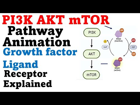 Video: Bilakah protein kinase diaktifkan?