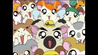 Nooncore - Hamtaro, piccoli Criceti grandi avventure (Hamtaro Opening ITA)