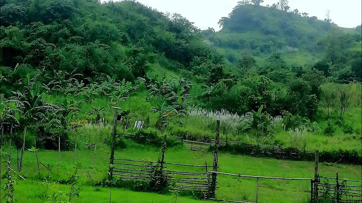 MGA PWEDE ALAGAAN AT GAWIN SA 1 HECTARE NA LUPA