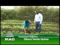 Agricultura Orgánica en la región Norte de Costa Rica