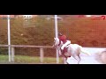British Showjumping Highlights May 2024