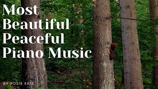 Most Beautiful & Relaxing | Piano BGM Video | Woodland - Rosie Kate