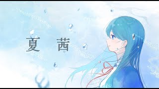 夏茜-知声